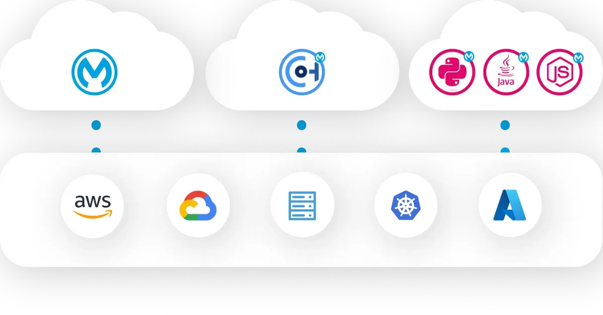 Api ecosystem